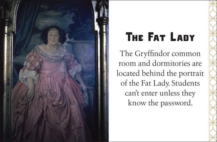 Image du produit Harry Potter : Gryffondor (Anglais, Collectif, Éditions Insight, 2019)