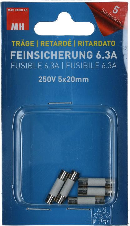 Max Hauri Fine-wire fuse (6.30 A)