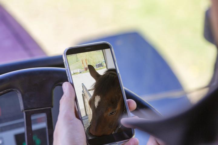 Produktbild Kerbl SmartCam HD (1280 x 720 Pixels)