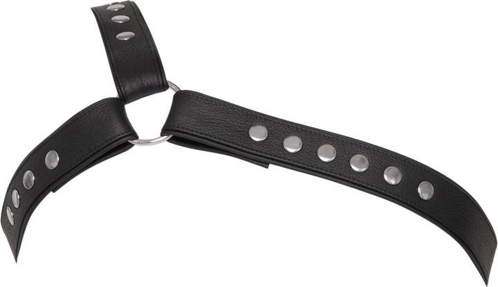 Produktbild Zado Brustharness aus Leder (XL)