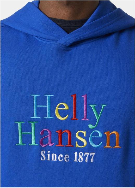 Produktbild Helly Hansen Core Graphic Sweat Hoodie (XL)