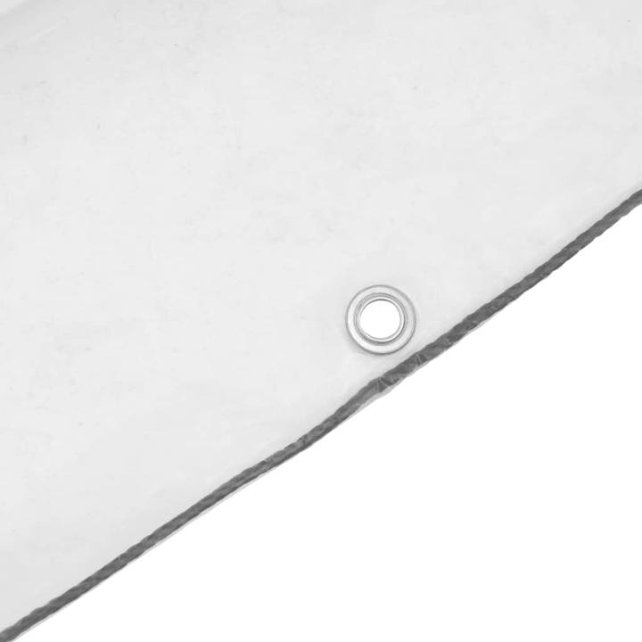 Produktbild vidaXL Transparente Plane mit Ösen 2x10 m Polyethylen durchsichtige Plane (2 x 10 m)