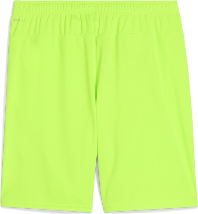 Actual product image Puma teamGOAL shorts (M)