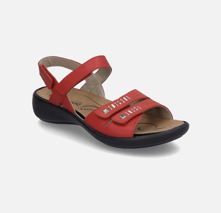 Actual product image Westland 16786-96 (41)