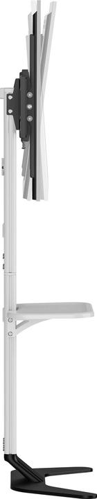 Actual product image SpeaKa Professional SP-TVS-600 TV-Standfuss Höhenverstellbar 94,0 cm (37") - 218 (86", 45 kg)