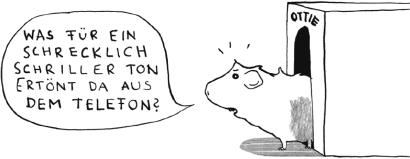 Actual product image Der alte Mann und das Meerschweinchen (German, Jens Sparschuh, Julia Duerr, 2017)