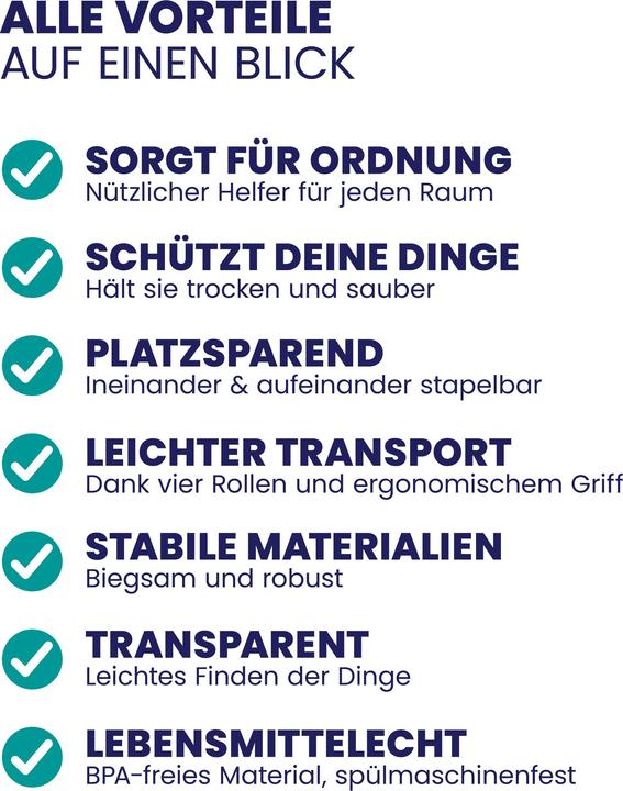 Immagine prodotto Deuba Aufbewahrungsbox (60 x 40 x 17 cm, 30 l)