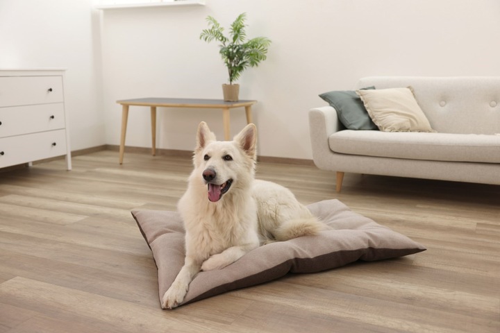 Immagine prodotto Kerbl Poduszka do leżenia Ely 75 x 115 cm brązowy/beżowy (Cane, Gatto)