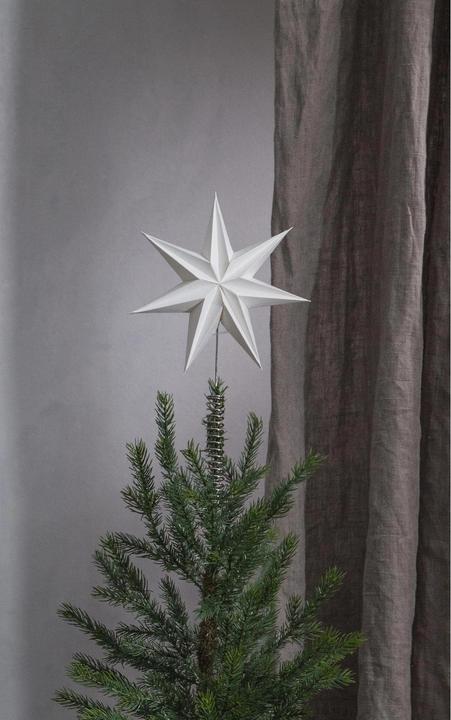 Produktbild Star Trading Baumstern Isa (1x)