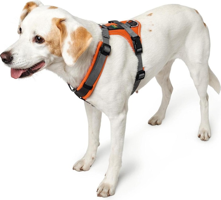 Actual product image Hunter Tableware Maldon (XS, Dog, General)