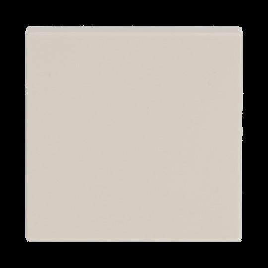 Actual product image Busch-Jaeger Seesaw