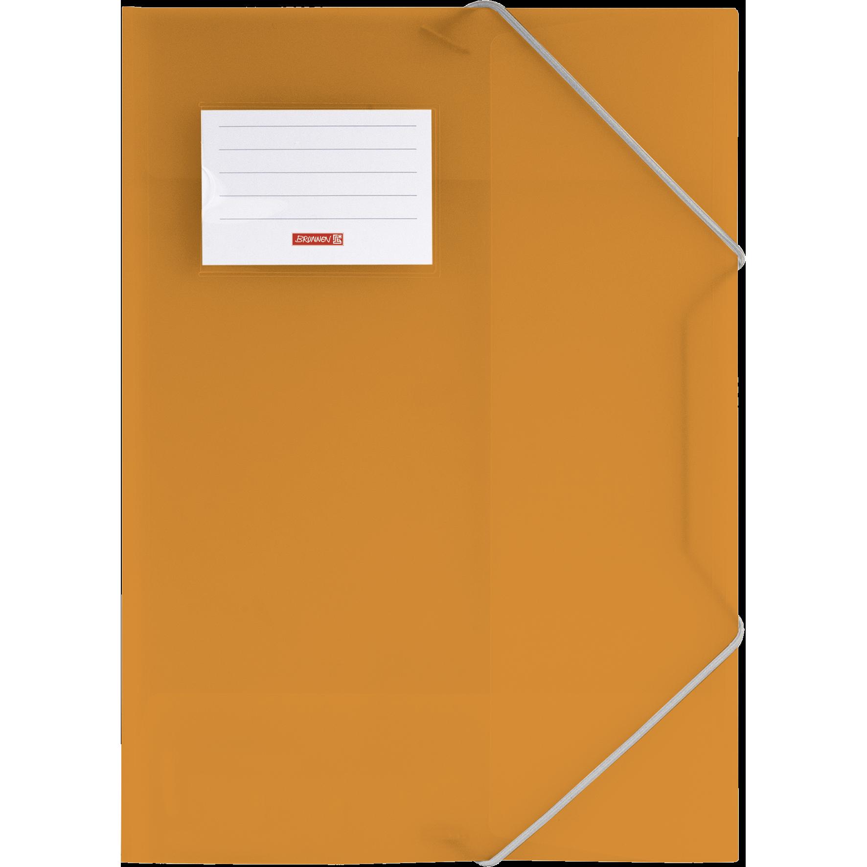 Brunnen, Mappe, Sammelmappe FACT!pp DIN A4 orange transparent (A4, 1 x)