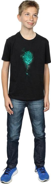 Produktbild Hogwarts Crest Mist TShirt Jungen (116)