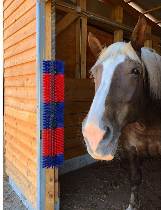 Actual product image Kerbl Scratching brush