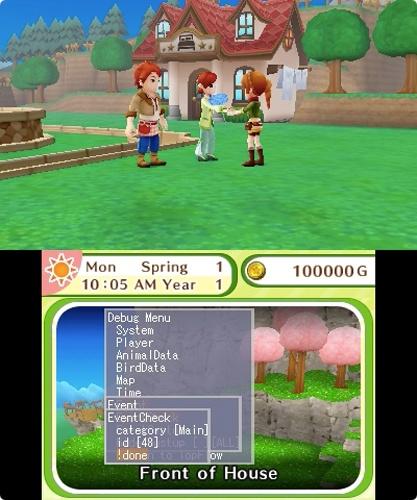 Produktbild Nintendo Harvest Moon: Skytree Village (3DS)