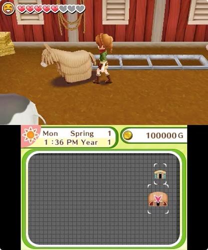 Produktbild Nintendo Harvest Moon: Skytree Village (3DS)