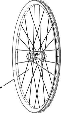 Actual product image Zipp Spoke Kit 3Pcs 242Mm CX-Sprint J-Bend