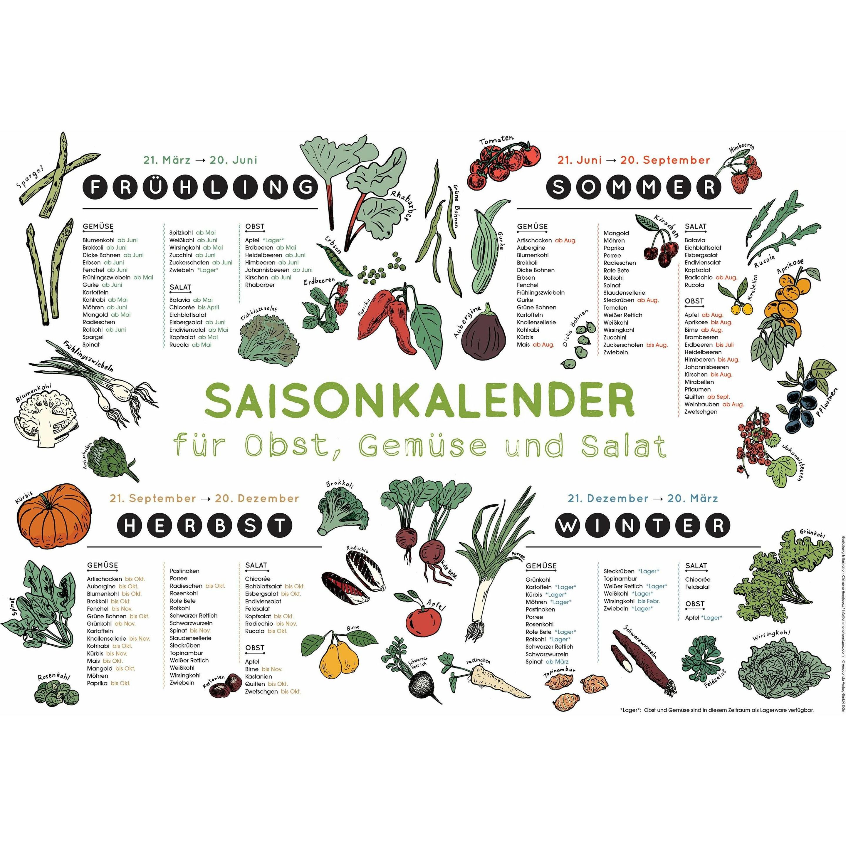 Anaconda Saisonkalender für Obst, Gemüse und Salat (57258649)