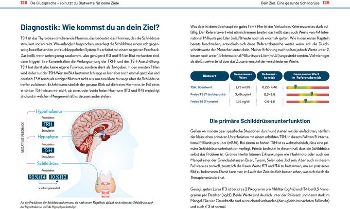 Produktbild Der Blutwerte-Code (Deutsch, Thiemo Osterhaus, 2023)