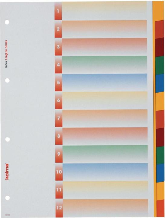 Kolma Register A4 superstrong blanko 12-teilig farbig
