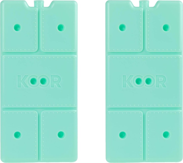 Koor Kühlelement Arctico L, Doppelpack Mint