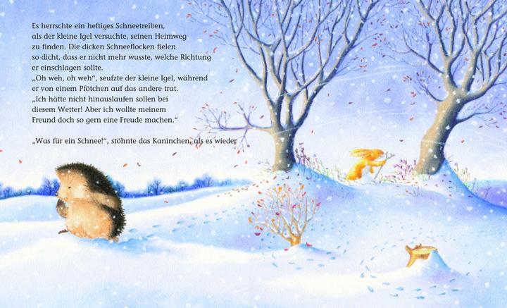 Produktbild Brunnen Der kleine Igel und die rote Mütze (Deutsch, M. Christina Butler, 2017)