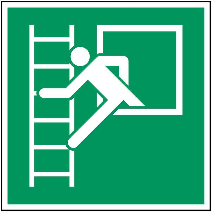 Actual product image Brady ISO safety sign - Emergency exit with escape ladder