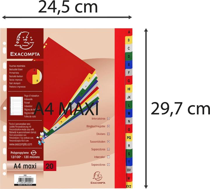 Image du produit Exacompta Intercalaires imprimés alphabétique PP couleurs 12/100e - 20 positions - A4+ - Assorties vives