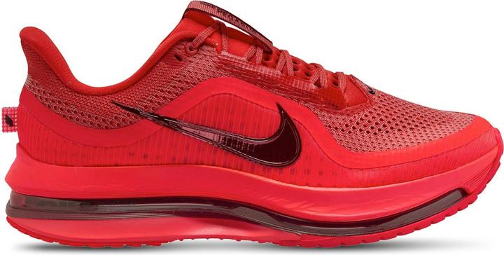 Image du produit Nike Pegasus Premium (46)
