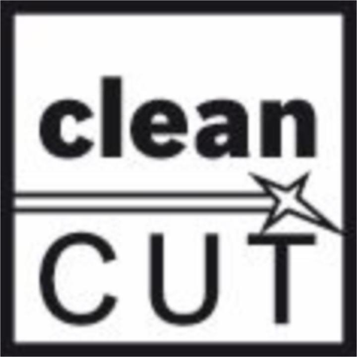 Produktbild Bosch Professional Zubehör T 101 B Clean for Wood