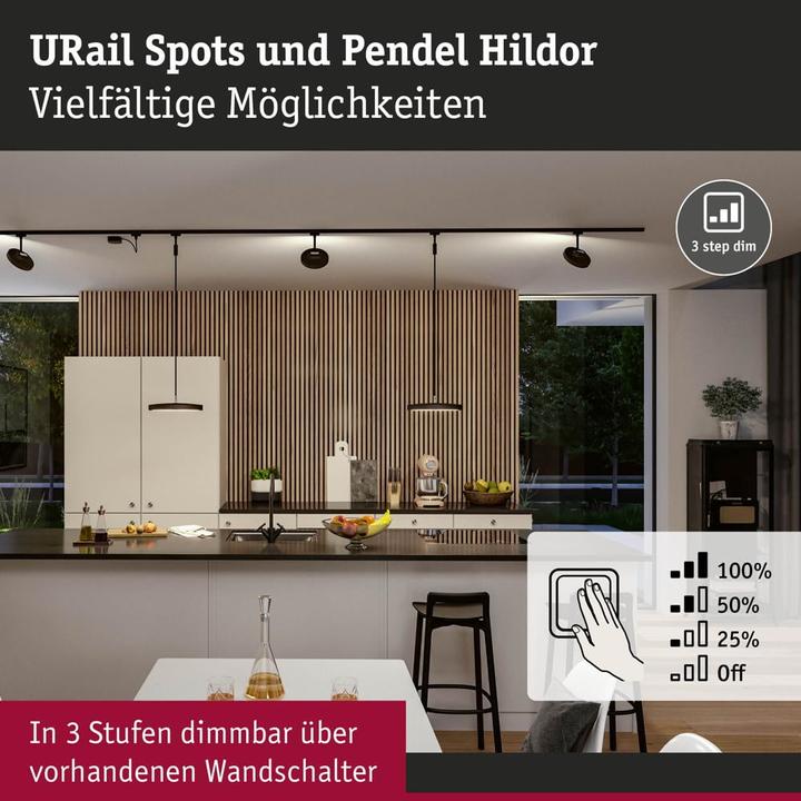 Immagine prodotto Paulmann Ciondolo URail Hildor (850 lm)