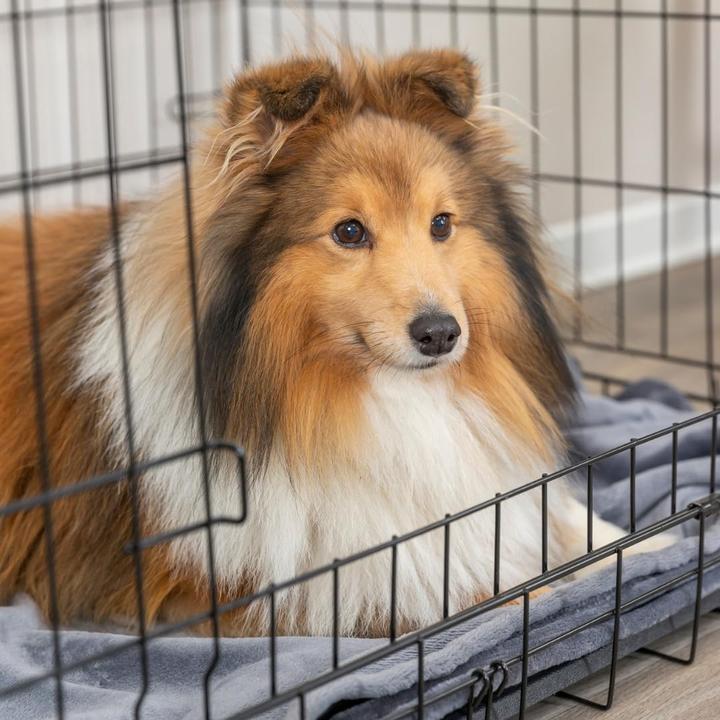 Actual product image Trixie Home Kennel Zwart