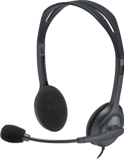 Actual product image Logitech H111 Stereo (Cable)