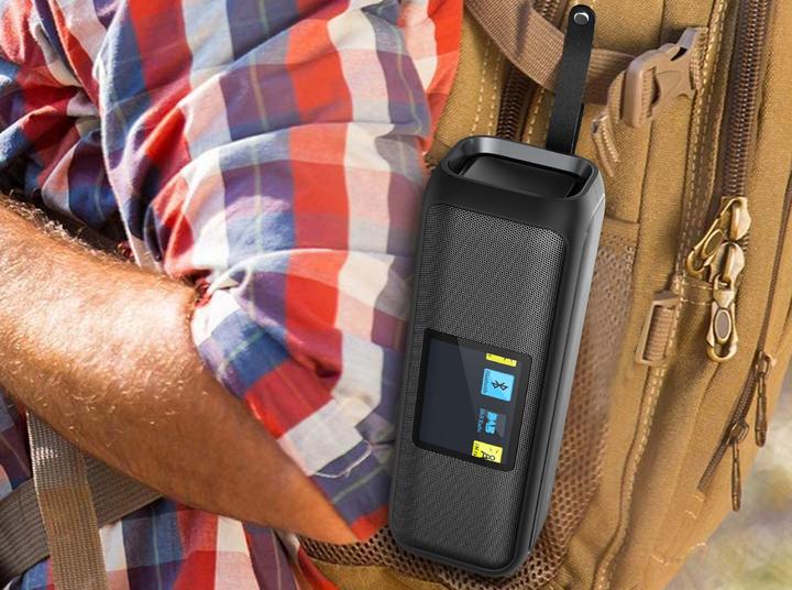 Actual product image Karcher DAB Go (DAB+, FM, Bluetooth)