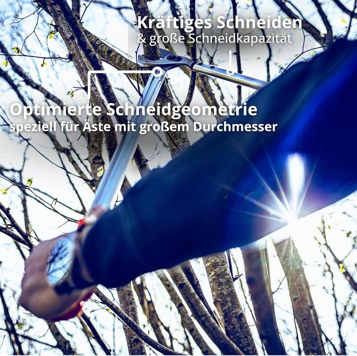 Produktbild Löwe 22 Profi Amboss 80 cm