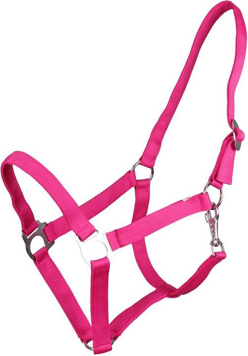 Qhp Nylonhalfter mit Schiebeschnalle