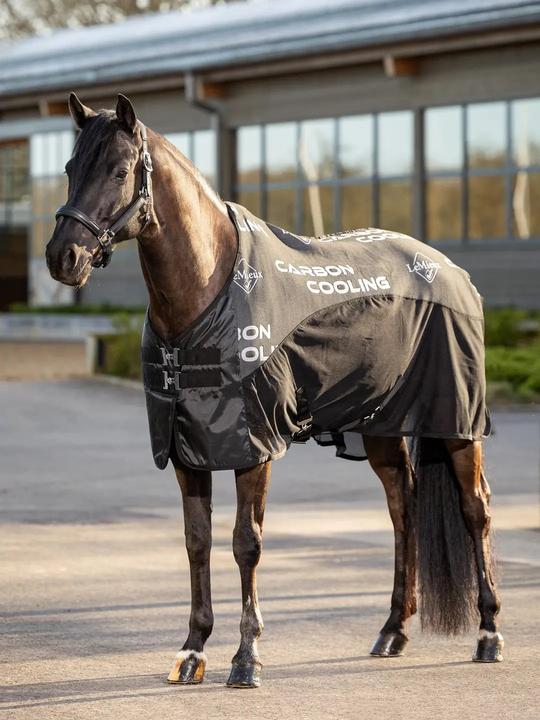 LeMieux Chemise séchante pour cheval carbone