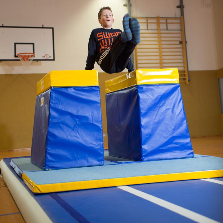 Image du produit Reivo Barres Rinogym