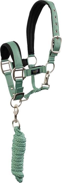Immagine prodotto BR Equestrian Equipment Set Cavezza e lunghina