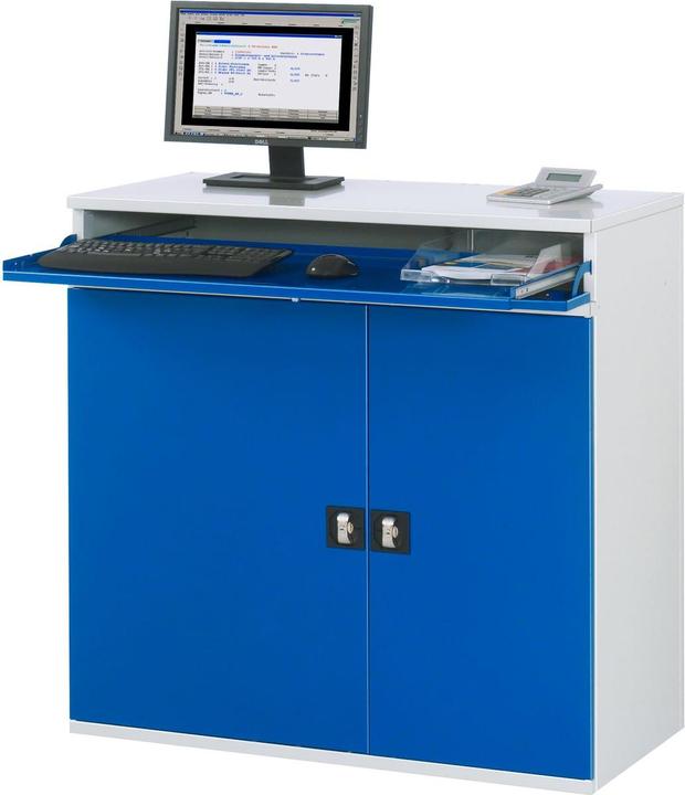 Image du produit RAU Armoire informatique version fixe ou mobile (110 cm, 106 cm)