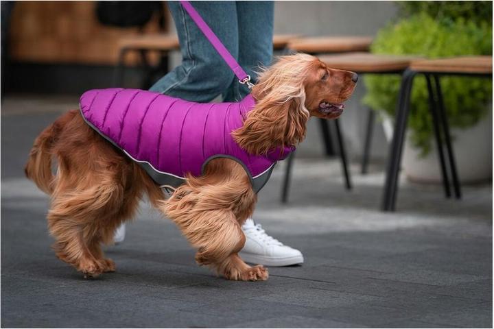 Produktbild Red Dingo Hundemäntelchen Puffer 50 cm Rosa/Lila (Hundemantel)