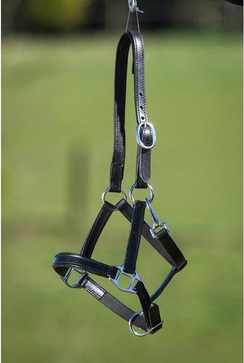 Immagine prodotto HFI Master Cavezza in pelle foderata per cavalli