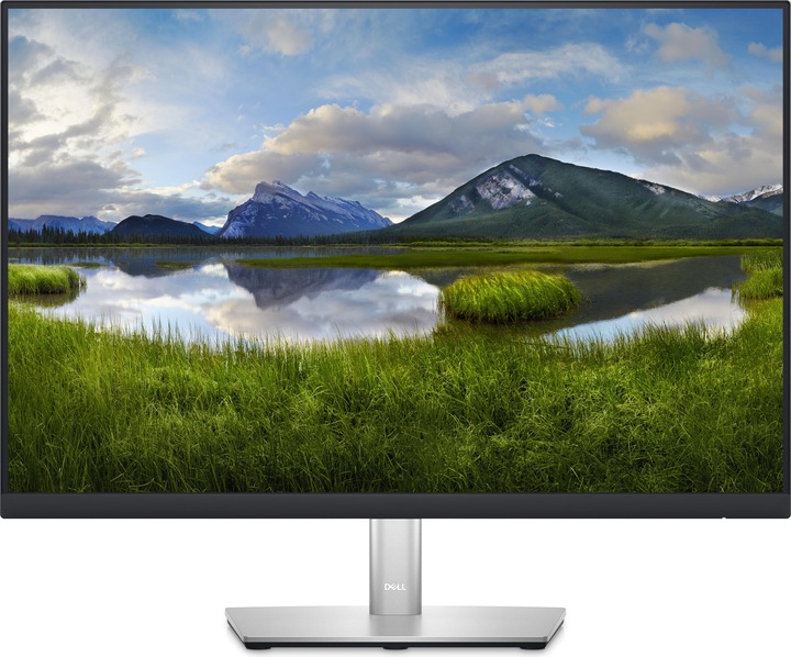 Dell P2423 (1920 x 1200 pixels, 24")