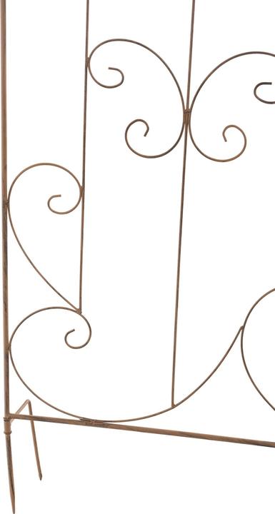 Immagine prodotto CLP Mandevilla (1 cm, 99 cm)