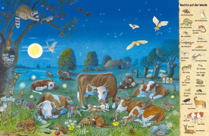 Produktbild Mein erstes Wimmelbuch: Tiere in der Nacht (Deutsch, Christine Henkel, 2018)