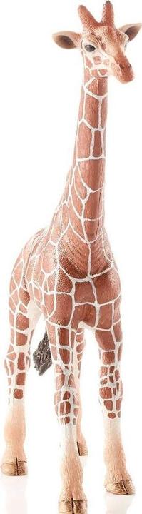 Image du produit Schleich Girafe taureau