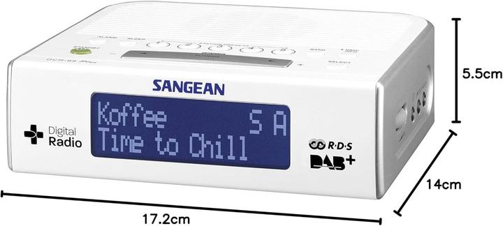 Actual product image Sangean Dcr-89+ (DAB+, FM)