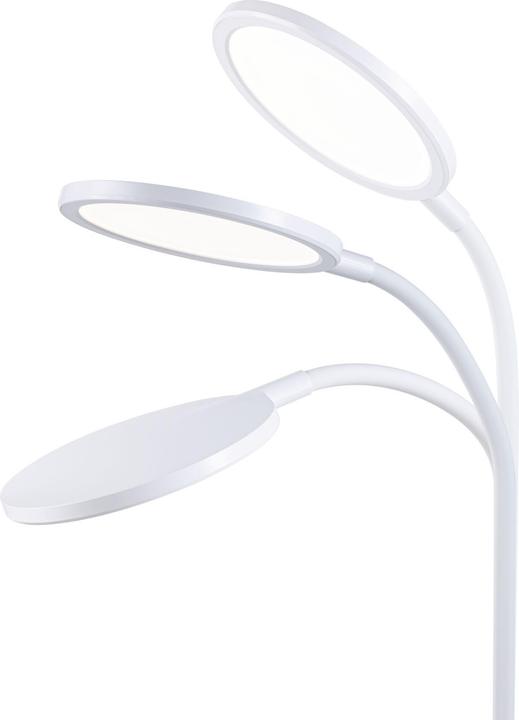 Image du produit Paulmann Schreibtischleuchte Mejan (1200 lm)