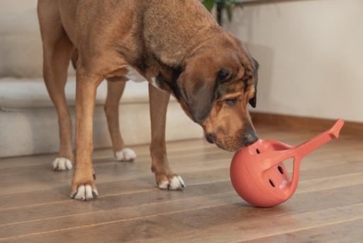 Actual product image Beeztees Rubber dog toy Wiggle-X (Dog chew toy)