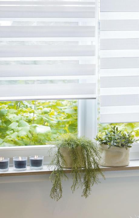 Produktbild Gardinia Easyfix Doppelrollo (100 x 150 cm)